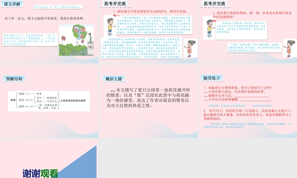 三年级语文下册 第一单元 第3课《荷花》课件1 新人教版-新人教级下册语文课件