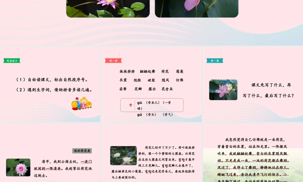 三年级语文下册 第一单元 第3课《荷花》课件2 新人教版-新人教版小学三年级下册语文课件