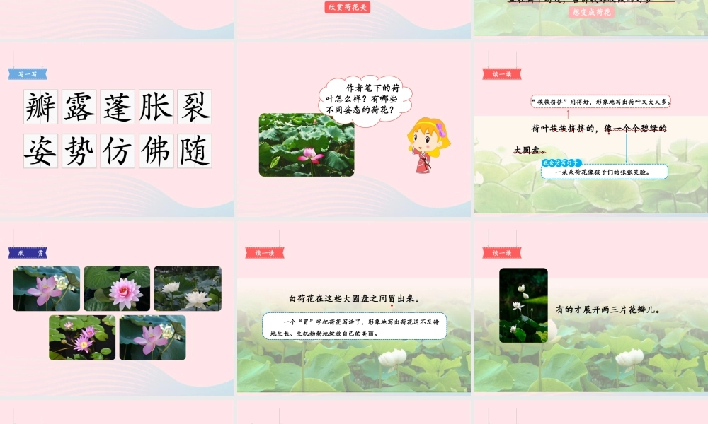 三年级语文下册 第一单元 第3课《荷花》课件2 新人教版-新人教版小学三年级下册语文课件