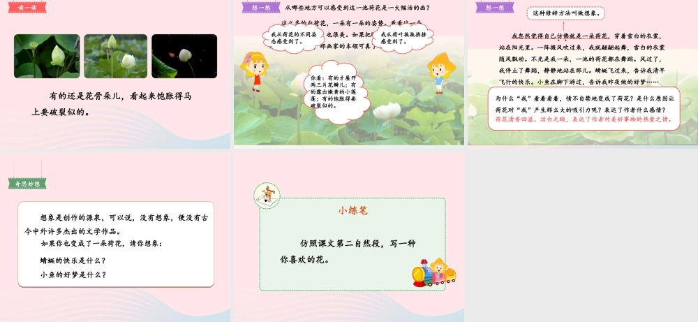 三年级语文下册 第一单元 第3课《荷花》课件2 新人教版-新人教版小学三年级下册语文课件