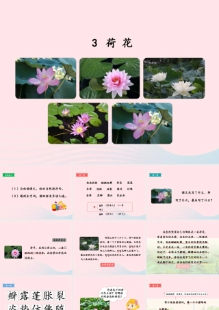 三年级语文下册 第一单元 第3课《荷花》课件2 新人教版-新人教版小学三年级下册语文课件