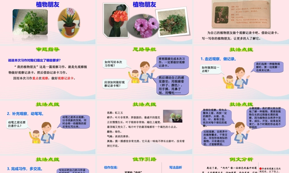 三年级语文下册 第一单元 习作 我的植物朋友课件 新人教版-新人教版小学三年级下册语文课件
