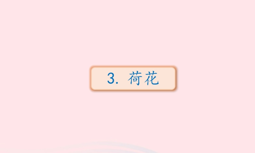 三年级语文下册 第一单元 第3课《荷花》课件2 新人教版-新人教级下册语文课件