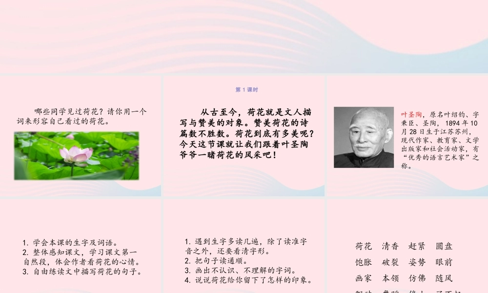 三年级语文下册 第一单元 第3课《荷花》课件2 新人教版-新人教级下册语文课件