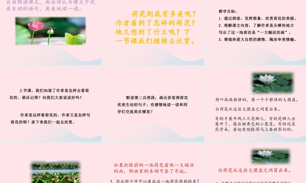 三年级语文下册 第一单元 第3课《荷花》课件2 新人教版-新人教级下册语文课件