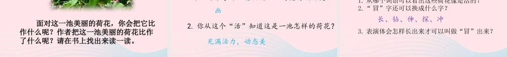 三年级语文下册 第一单元 第3课《荷花》课件2 新人教版-新人教级下册语文课件