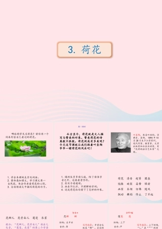 三年级语文下册 第一单元 第3课《荷花》课件2 新人教版-新人教级下册语文课件