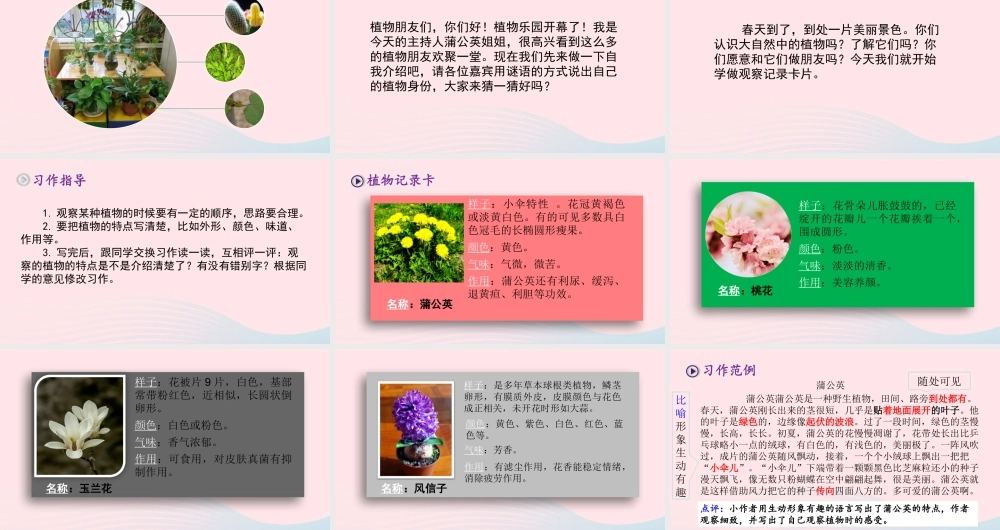 三年级语文下册 第一单元 习作 我的植物朋友课件 新人教版-新人教级下册语文课件