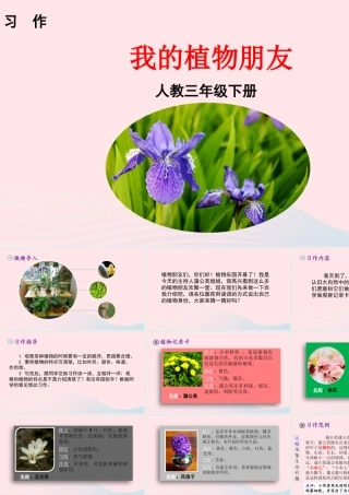 三年级语文下册 第一单元 习作 我的植物朋友课件 新人教版-新人教级下册语文课件