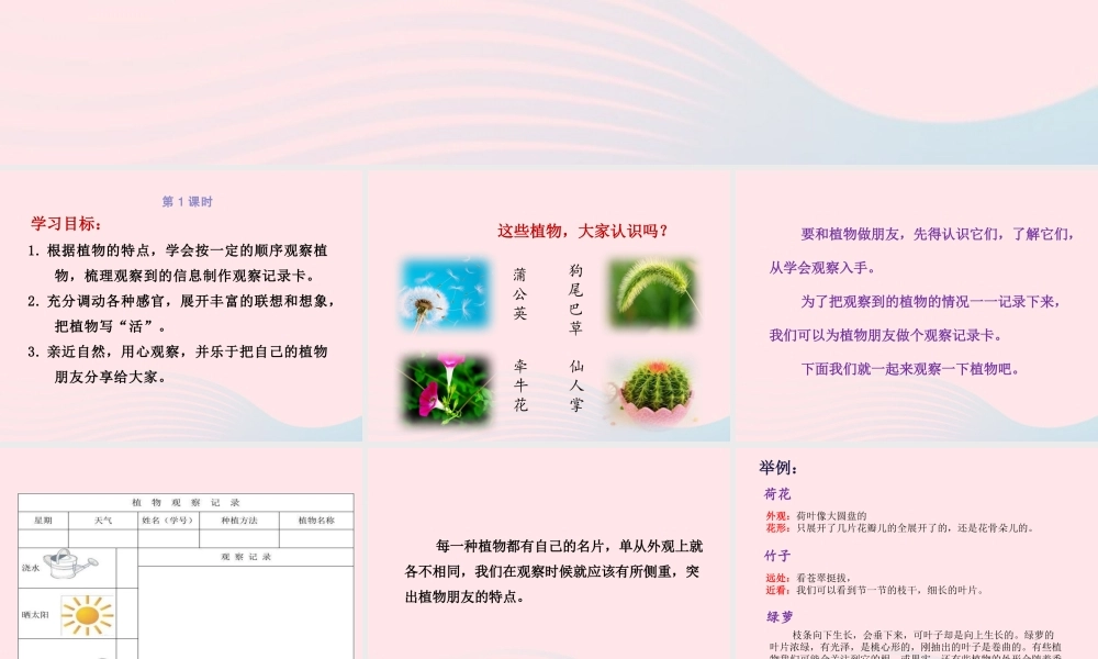 三年级语文下册 第一单元 习作《我的植物朋友》课件 新人教版-新人教版小学三年级下册语文课件