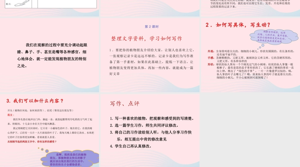 三年级语文下册 第一单元 习作《我的植物朋友》课件 新人教版-新人教版小学三年级下册语文课件