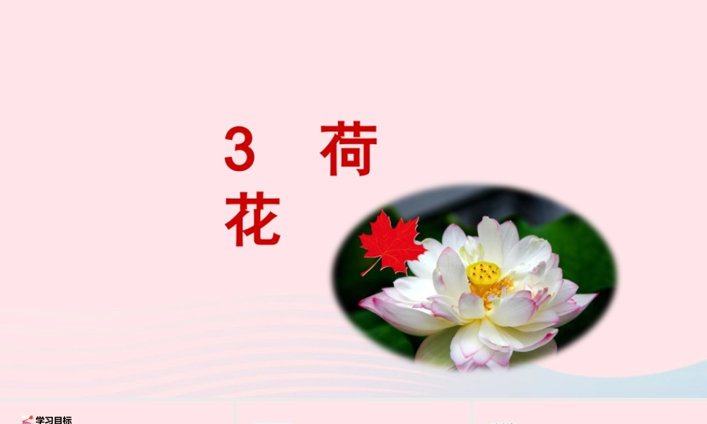 三年级语文下册 第一单元 第3课荷花课件 新人教版-新人教版小学三年级下册语文课件