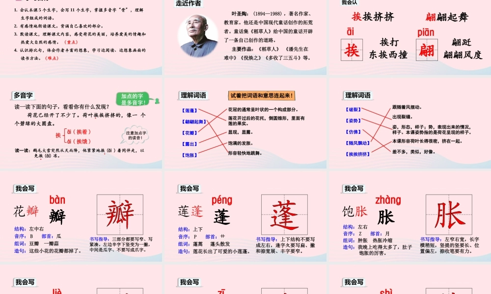 三年级语文下册 第一单元 第3课荷花课件 新人教版-新人教版小学三年级下册语文课件