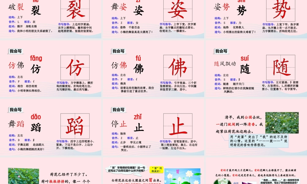 三年级语文下册 第一单元 第3课荷花课件 新人教版-新人教版小学三年级下册语文课件