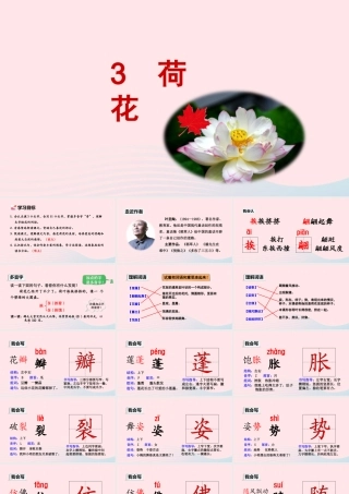 三年级语文下册 第一单元 第3课荷花课件 新人教版-新人教版小学三年级下册语文课件