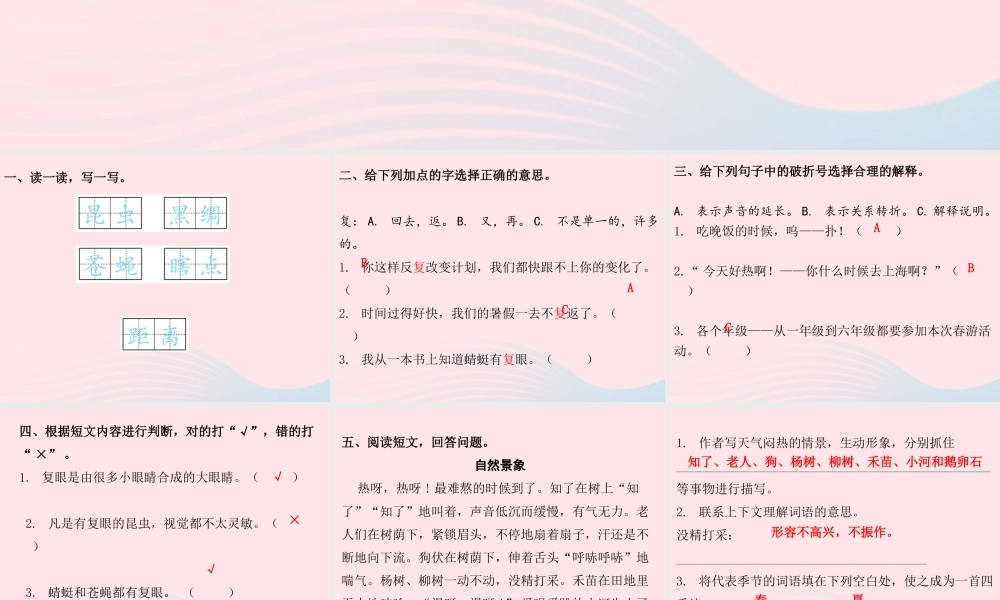 三年级语文下册 第一单元 第4课 昆虫备忘录（知识盘点及练习）课件 新人教版-新人教版小学三年级下册语文课件