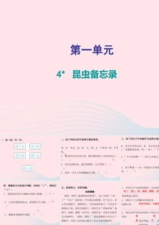 三年级语文下册 第一单元 第4课 昆虫备忘录（知识盘点及练习）课件 新人教版-新人教版小学三年级下册语文课件