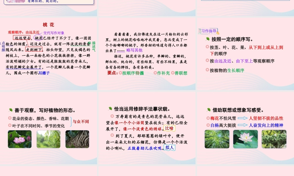 三年级语文下册 第一单元《习作：我的植物朋友》精品课件 新人教版-新人教版小学三年级下册语文课件