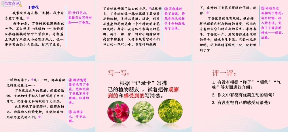 三年级语文下册 第一单元《习作：我的植物朋友》精品课件 新人教版-新人教版小学三年级下册语文课件