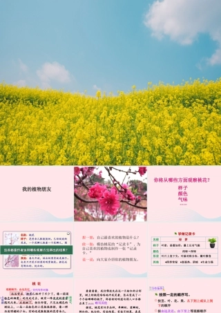 三年级语文下册 第一单元《习作：我的植物朋友》精品课件 新人教版-新人教版小学三年级下册语文课件