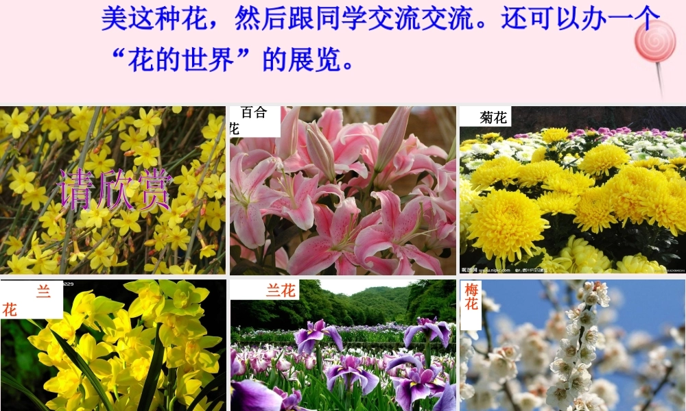 三年级语文下册 第一单元《语文百花园一》课件1 语文S版-语文S版小学三年级下册语文课件