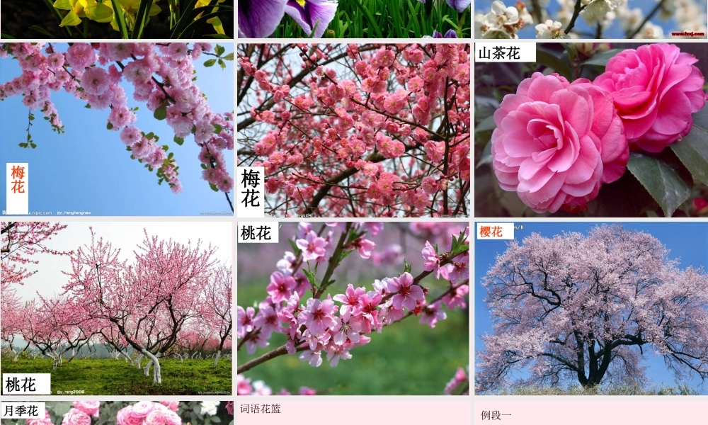 三年级语文下册 第一单元《语文百花园一》课件1 语文S版-语文S版小学三年级下册语文课件