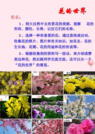 三年级语文下册 第一单元《语文百花园一》课件1 语文S版-语文S版小学三年级下册语文课件