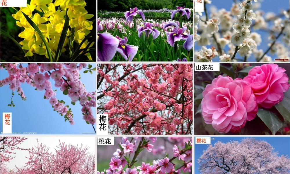 三年级语文下册 第一单元《语文百花园一》课件2 语文S版-语文S版小学三年级下册语文课件