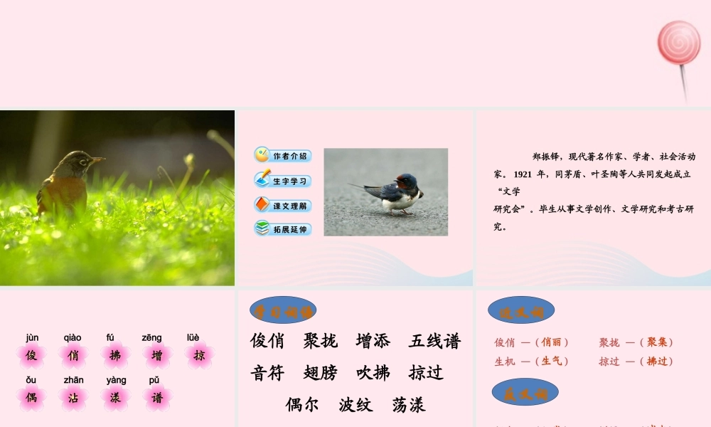 三年级语文下册 第一组 1《燕子》课堂教学课件1 新人教版-新人教版小学三年级下册语文课件