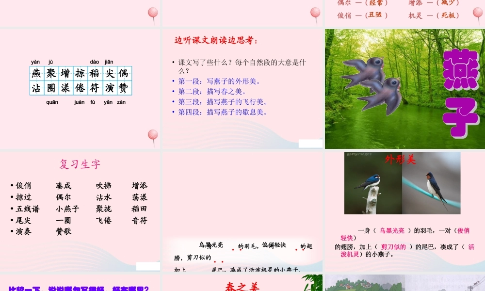 三年级语文下册 第一组 1《燕子》课堂教学课件1 新人教版-新人教版小学三年级下册语文课件