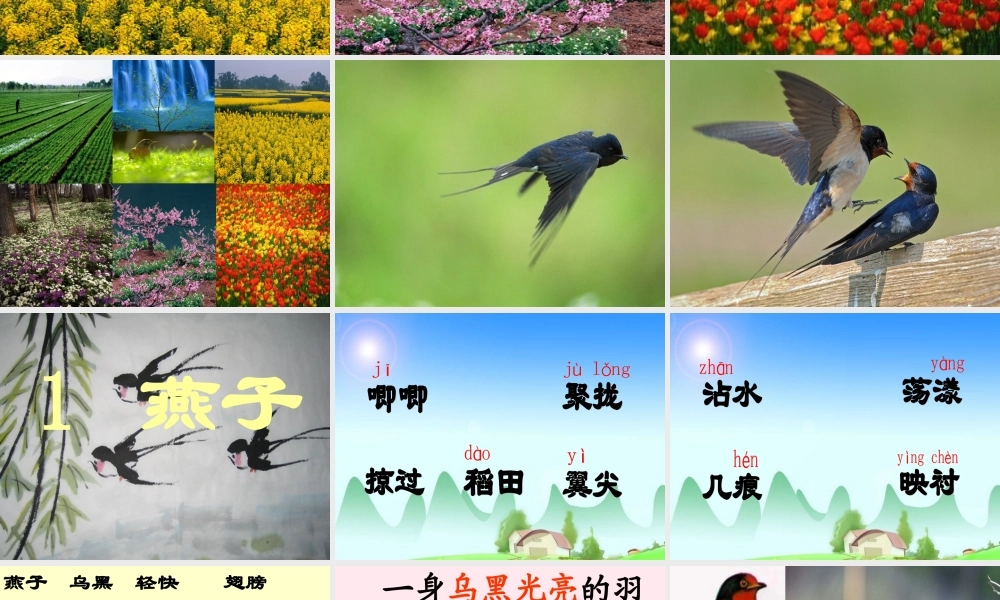 三年级语文下册 第一组 1《燕子》课堂教学课件2 新人教版-新人教版小学三年级下册语文课件