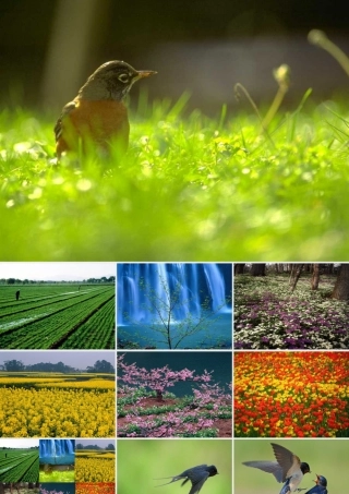 三年级语文下册 第一组 1《燕子》课堂教学课件2 新人教版-新人教版小学三年级下册语文课件