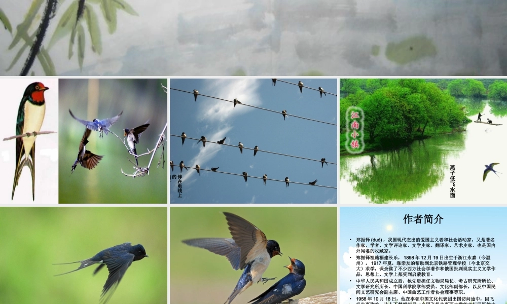 三年级语文下册 第一组 1《燕子》课堂教学课件3 新人教版-新人教版小学三年级下册语文课件