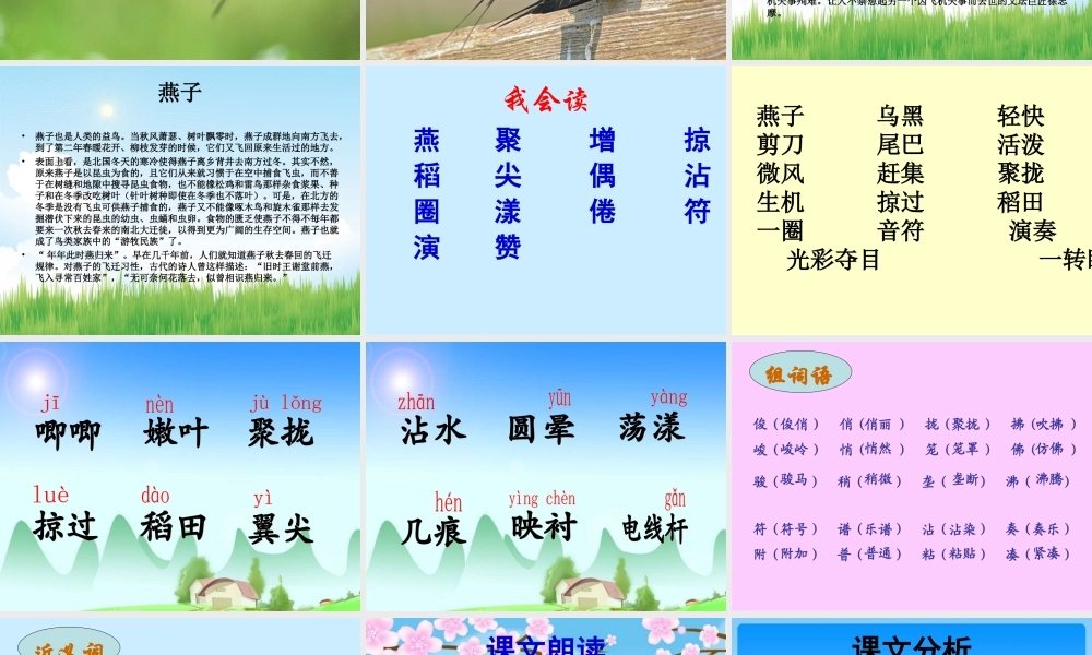 三年级语文下册 第一组 1《燕子》课堂教学课件3 新人教版-新人教版小学三年级下册语文课件