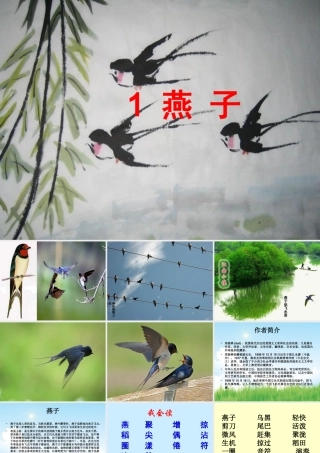 三年级语文下册 第一组 1《燕子》课堂教学课件3 新人教版-新人教版小学三年级下册语文课件