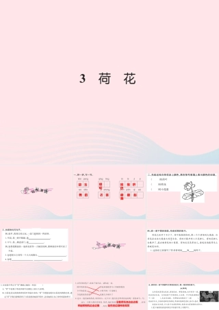 三年级语文下册 第一组 3 荷花习题课件 新人教版-新人教版小学三年级下册语文课件