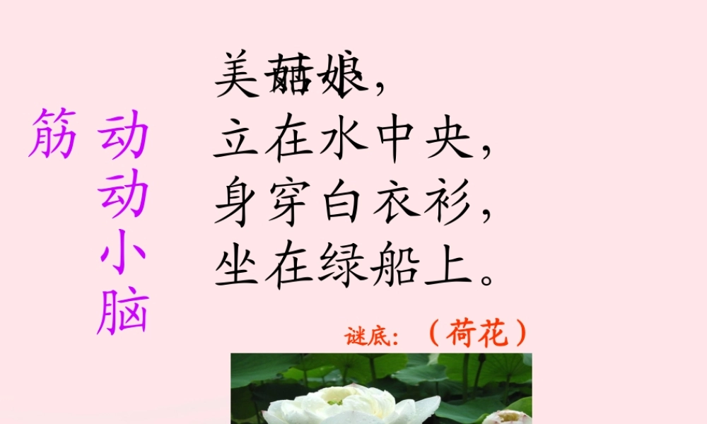 三年级语文下册 第一组 3《荷花》课堂教学课件1 新人教版-新人教版小学三年级下册语文课件