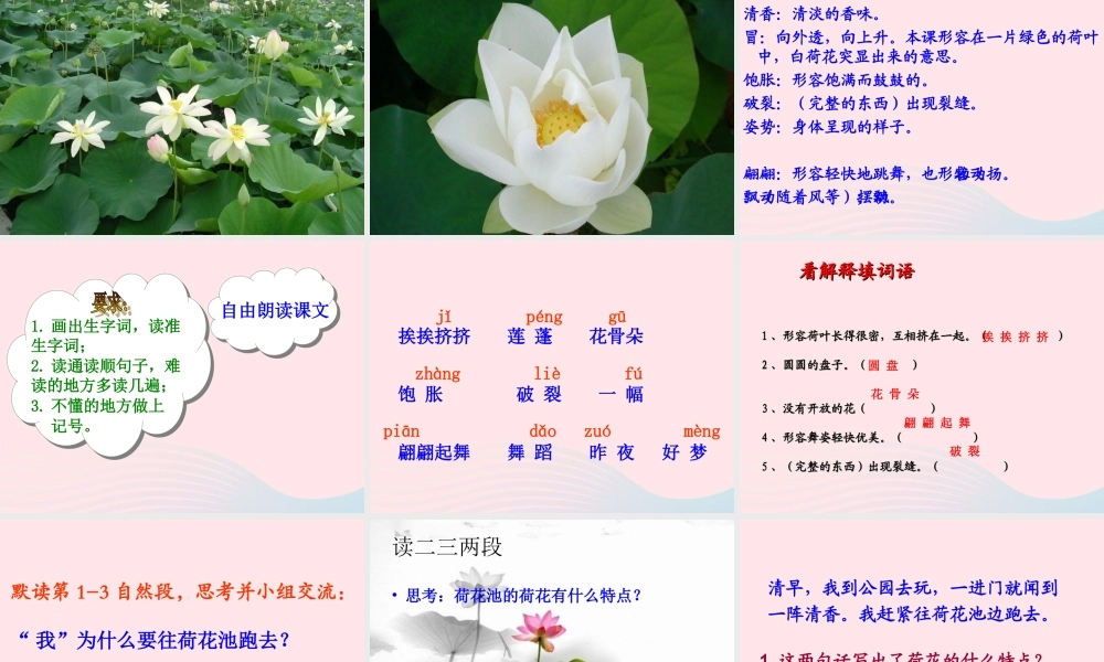 三年级语文下册 第一组 3《荷花》课堂教学课件1 新人教版-新人教版小学三年级下册语文课件