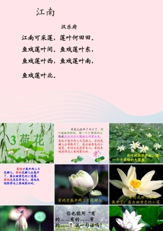 三年级语文下册 第一组 3《荷花》课堂教学课件2 新人教版-新人教版小学三年级下册语文课件