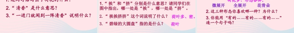 三年级语文下册 第一组 3《荷花》课堂教学课件3 新人教版-新人教版小学三年级下册语文课件