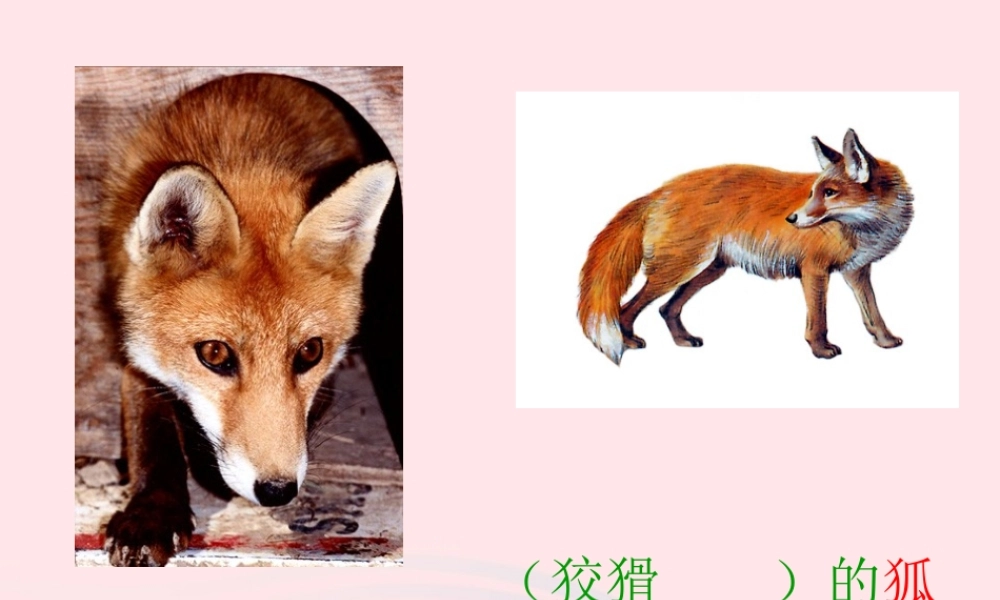 二年级语文上册 课文7 21《狐假虎威》课堂教学课件3 新人教版-新人教版小学二年级上册语文课件