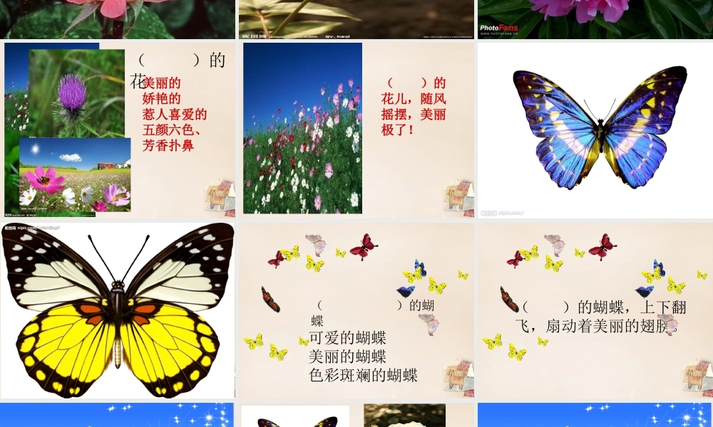 二年级语文上册《读词语，讲故事》课件2 长春版-长春版小学二年级上册语文课件