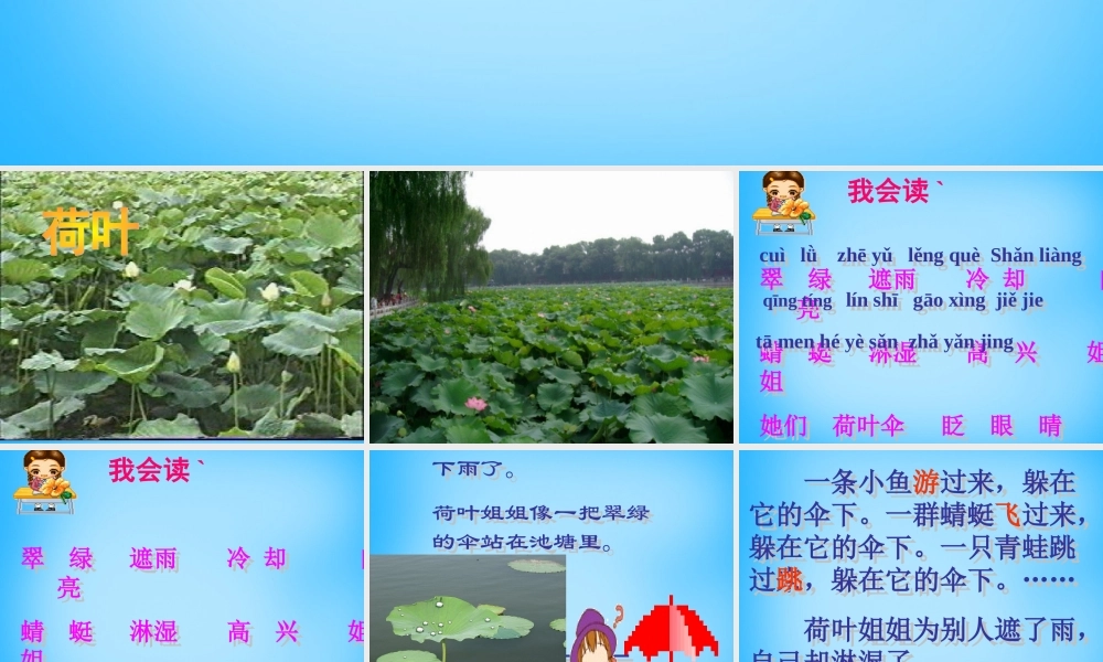 二年级语文上册《荷叶伞》课件1 语文A版-语文A版小学二年级上册语文课件