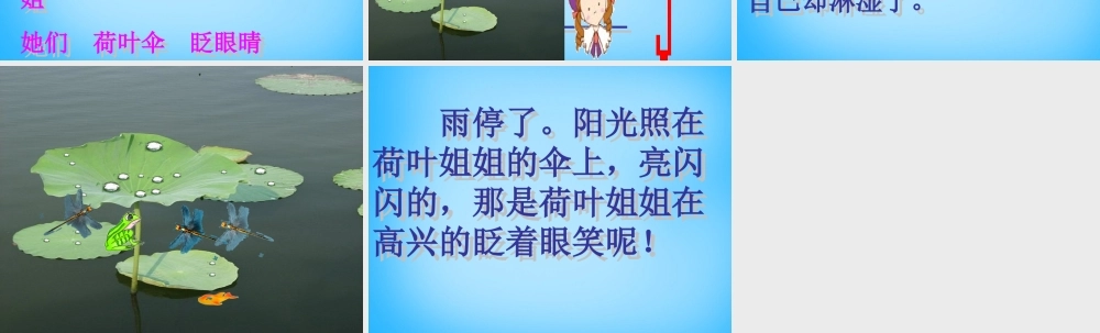 二年级语文上册《荷叶伞》课件1 语文A版-语文A版小学二年级上册语文课件