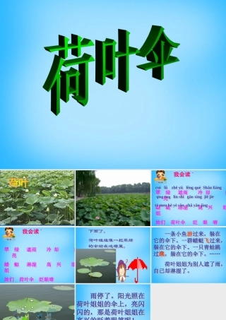 二年级语文上册《荷叶伞》课件1 语文A版-语文A版小学二年级上册语文课件