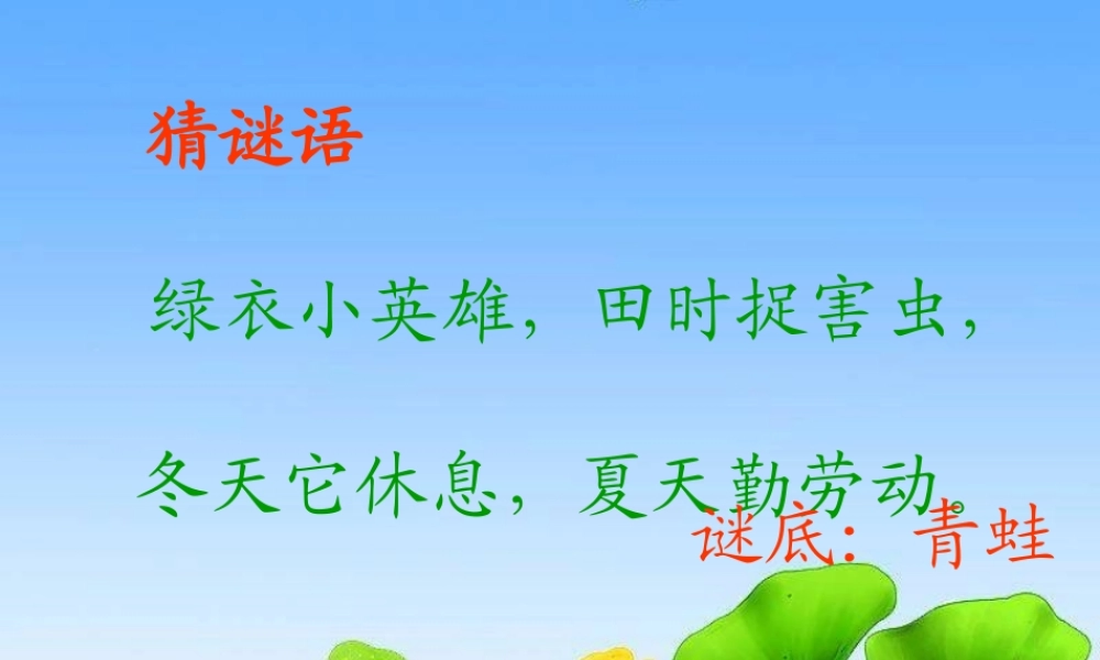 二年级语文上册《荷叶伞》课件2 语文A版-语文A版小学二年级上册语文课件