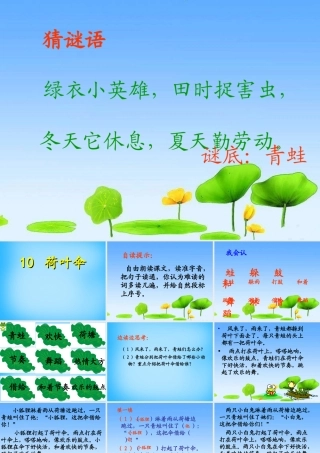 二年级语文上册《荷叶伞》课件2 语文A版-语文A版小学二年级上册语文课件