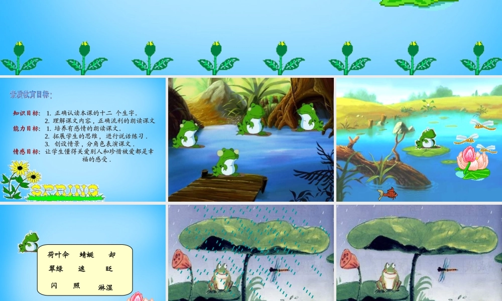 二年级语文上册《荷叶伞》课件3 语文A版-语文A版小学二年级上册语文课件