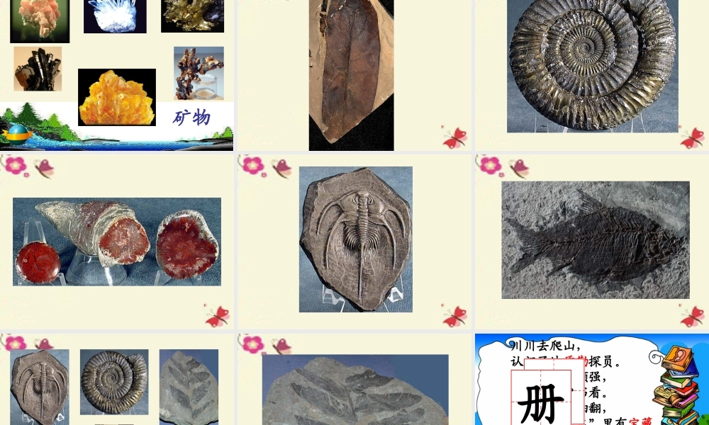 二年级语文下册 第2单元 7《岩石书》课件8 语文S版-语文S版小学二年级下册语文课件