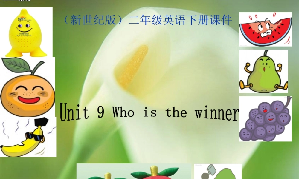 二年级英语下册 Unit 9(2)课件 新世纪版